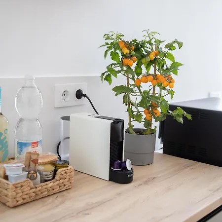 Apartment Casa Lima - Spacious Souterrain Close To The Torremolinos